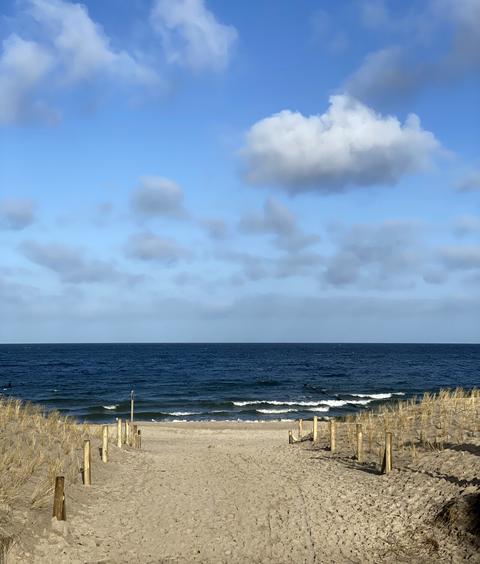 Sandweg durch die Düne zum Strand von Zempin mit Blick auf die Ostsee